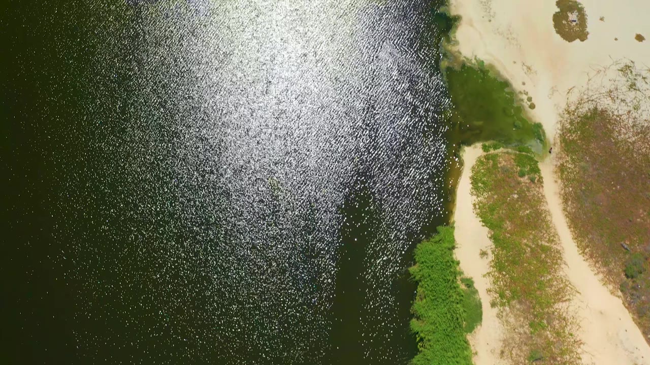 Ocean shimmer beside sandy coast and green beach vegetation from above.