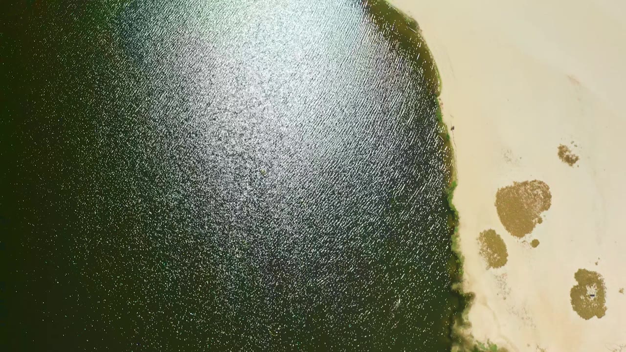 Rippling green water with bright sun glare beside a sandy tidal edge.