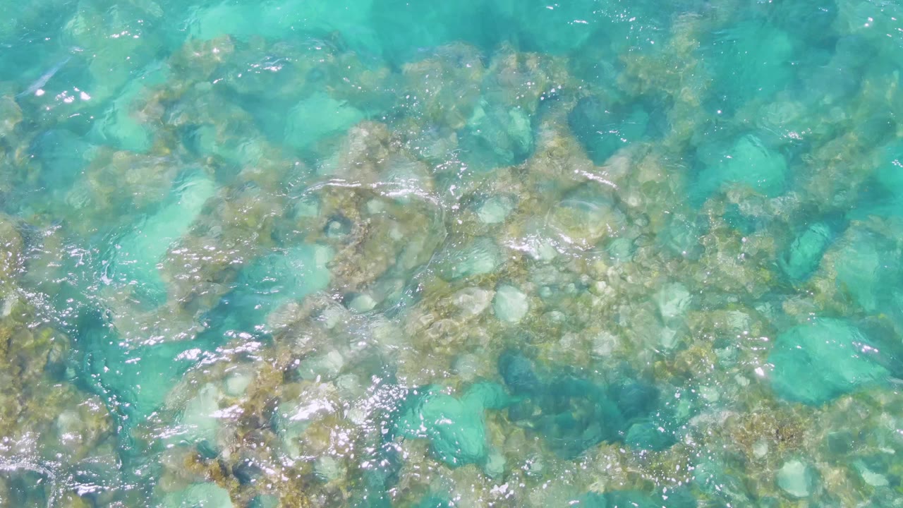 Top-down view of turquoise shallow water over pale rocks and coral-like seabed patches at Buzzards Beach, Baja California Sur, with no visible people.