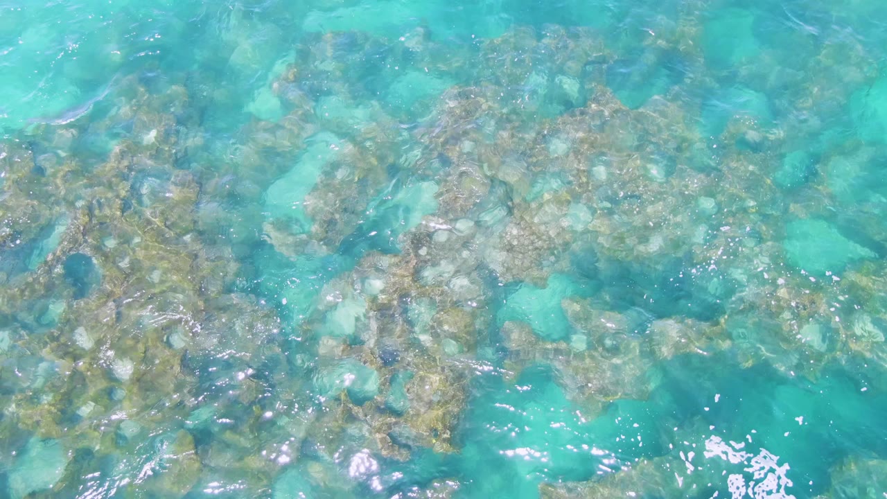 Top-down view of clear turquoise water over a rocky seabed at Buzzards Beach, Baja California Sur, with no visible people.