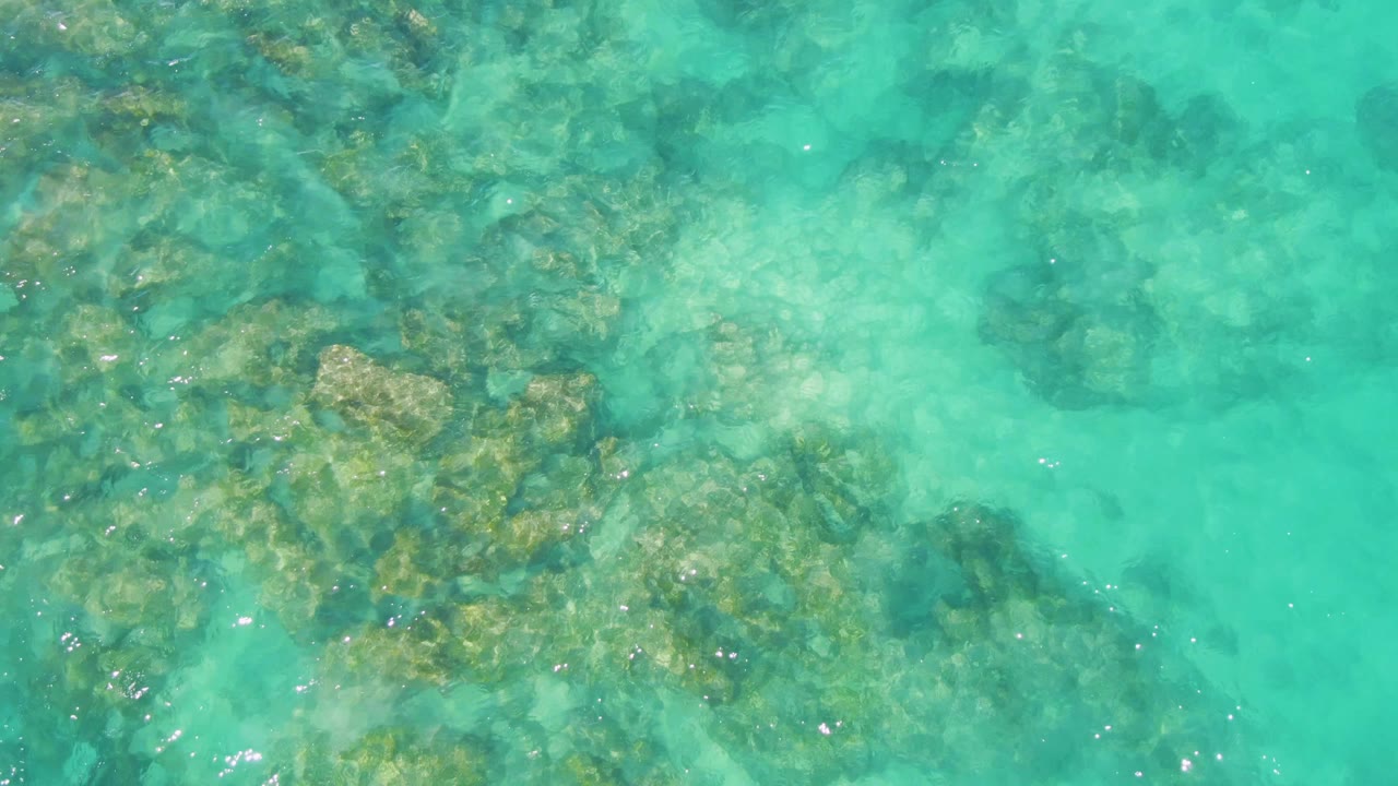 Straight-down view of clear turquoise water over submerged rocks at Buzzards Beach, Baja California Sur, with no visible people.