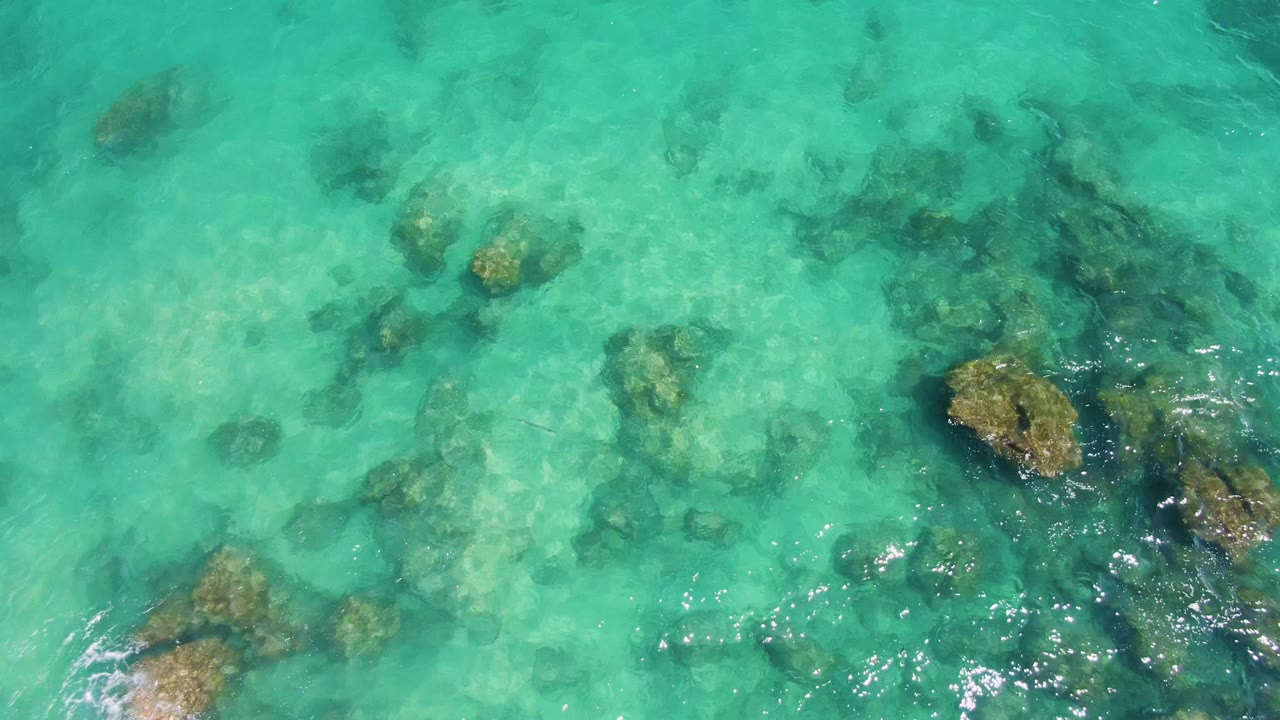 A sunlit overhead frame at Buzzards Beach shows pale turquoise shallows, scattered coral-like formations, and shifting light on the water, with no visible people.