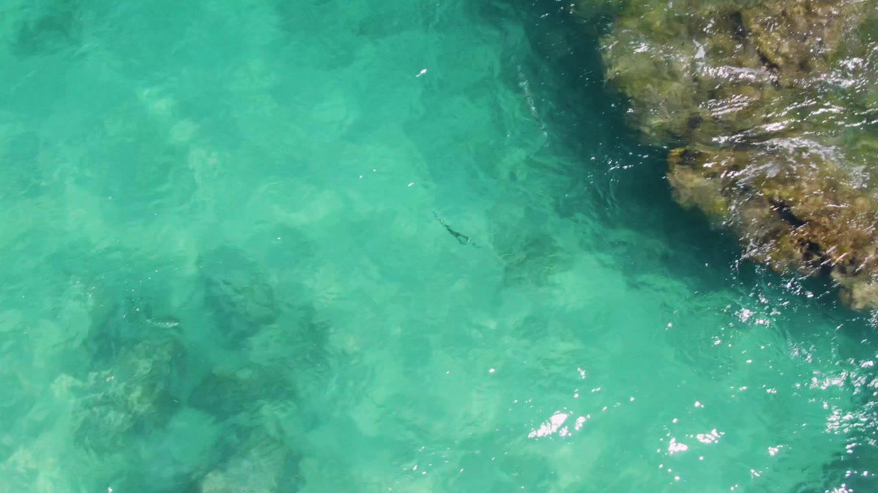 Aerial frame over Buzzards Beach turquoise shallows, with muted rocks under the water and the rocky outcrop cropped along the right side, no visible people.