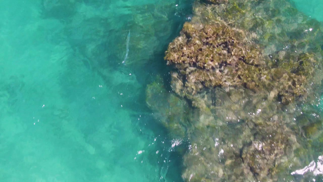 At Buzzards Beach, a rocky patch sits high in the frame while clear green-blue water reveals darker submerged shapes below, with no visible people.