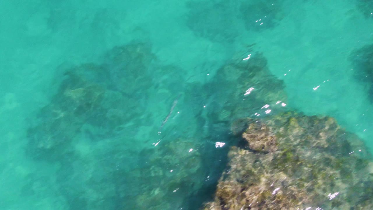 Turquoise water over submerged rocks with bright surface glints.