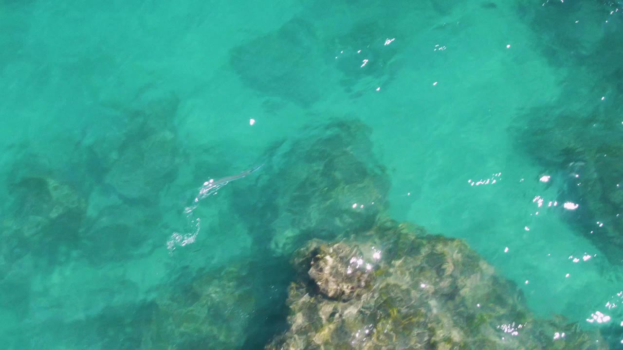 Overhead frame at Buzzards Beach showing a rocky seabed under clear turquoise water, with a larger rock patch near the lower center and no visible people.