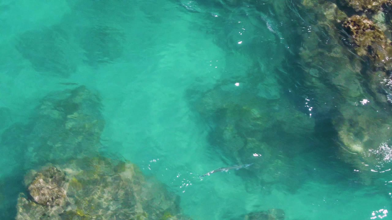 Turquoise water over submerged rocks with a fish near the center.