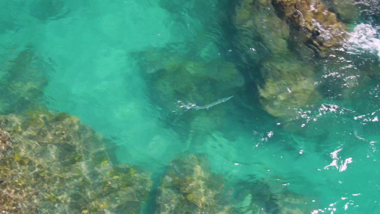 Clear water at Buzzards Beach reveals large underwater rocks and a thin fish near the right side, with brighter ripples collecting around the rocks and no visible people.