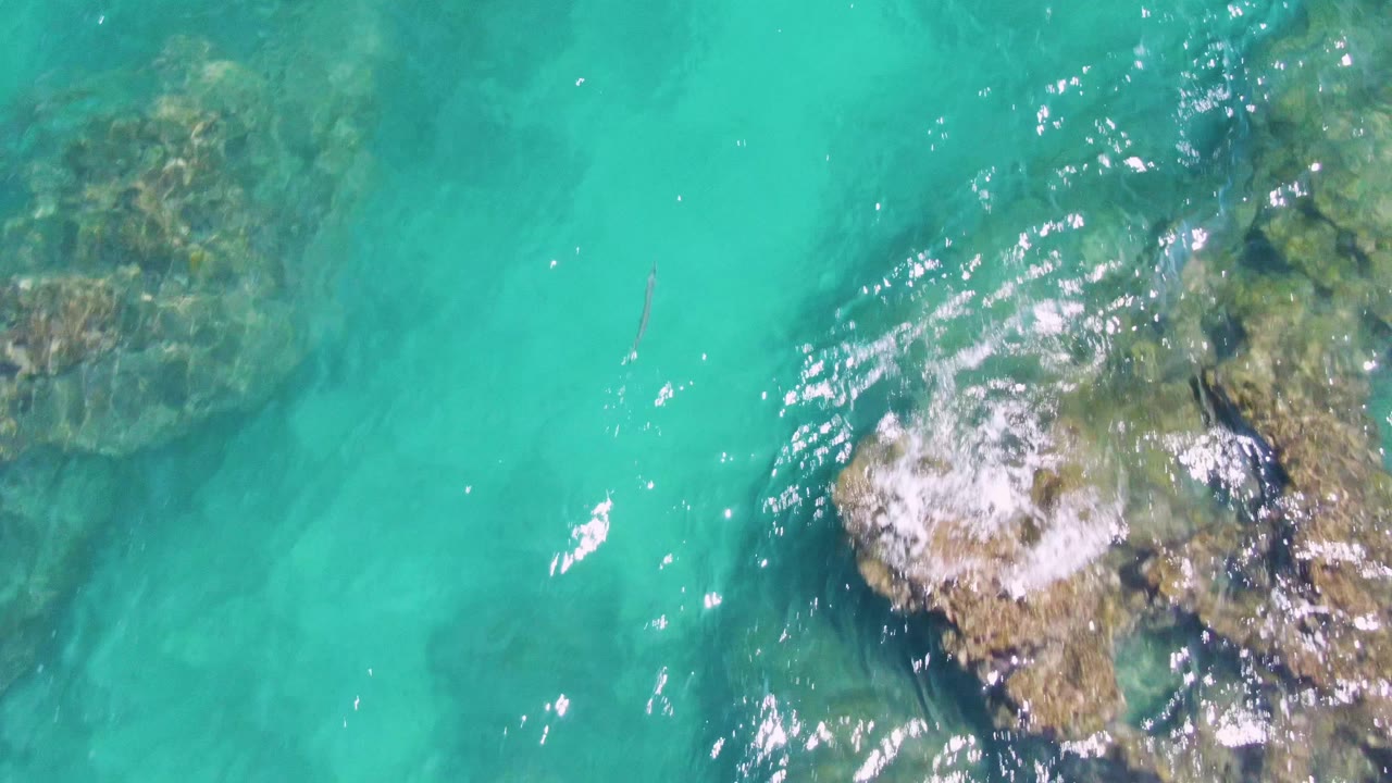 Overhead aerial frame at Buzzards Beach showing clear turquoise ocean, a central rocky seabed patch, scattered reflections, and no visible people.