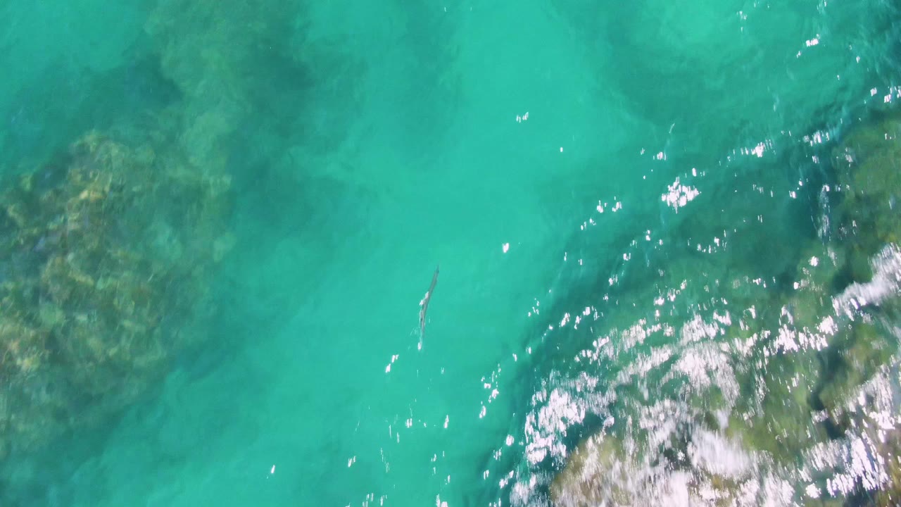 Buzzards Beach water seen from above, with a larger submerged rock mass under turquoise water and bright white surface reflections, with no visible people.