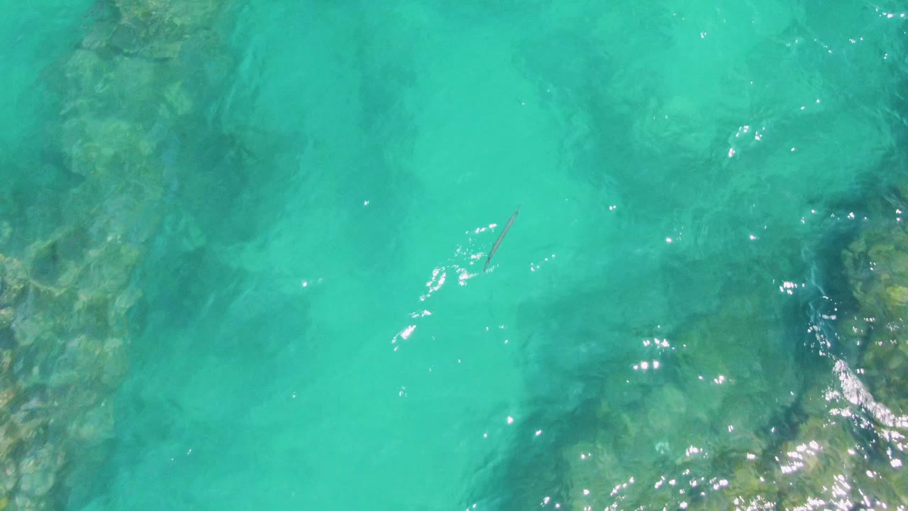 Small fish gliding across clear turquoise ocean water at Buzzards Beach, with darker submerged rock patches below and no visible people.