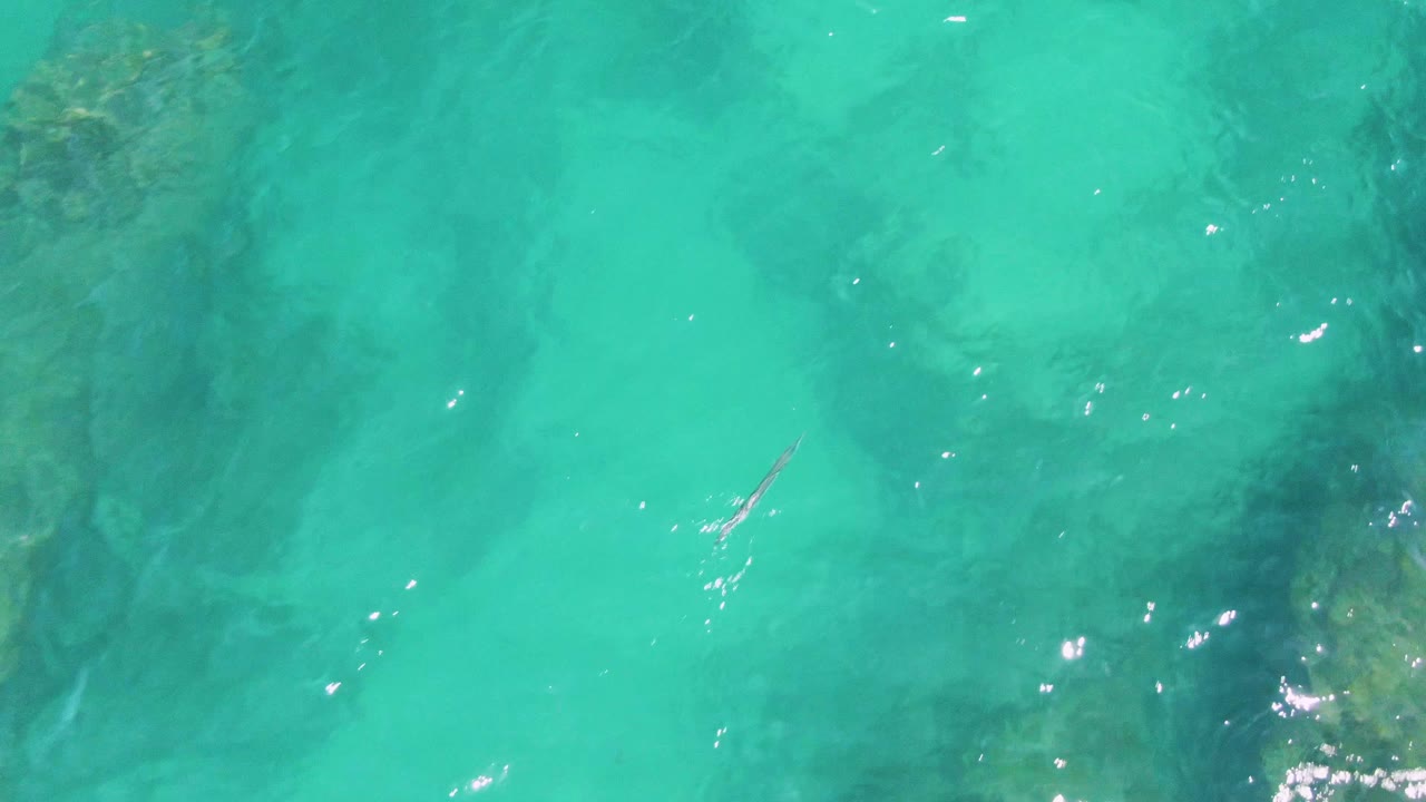Small fish moving through clear turquoise ocean at Buzzards Beach, framed above darker underwater formations and scattered white water glints, with no visible people.