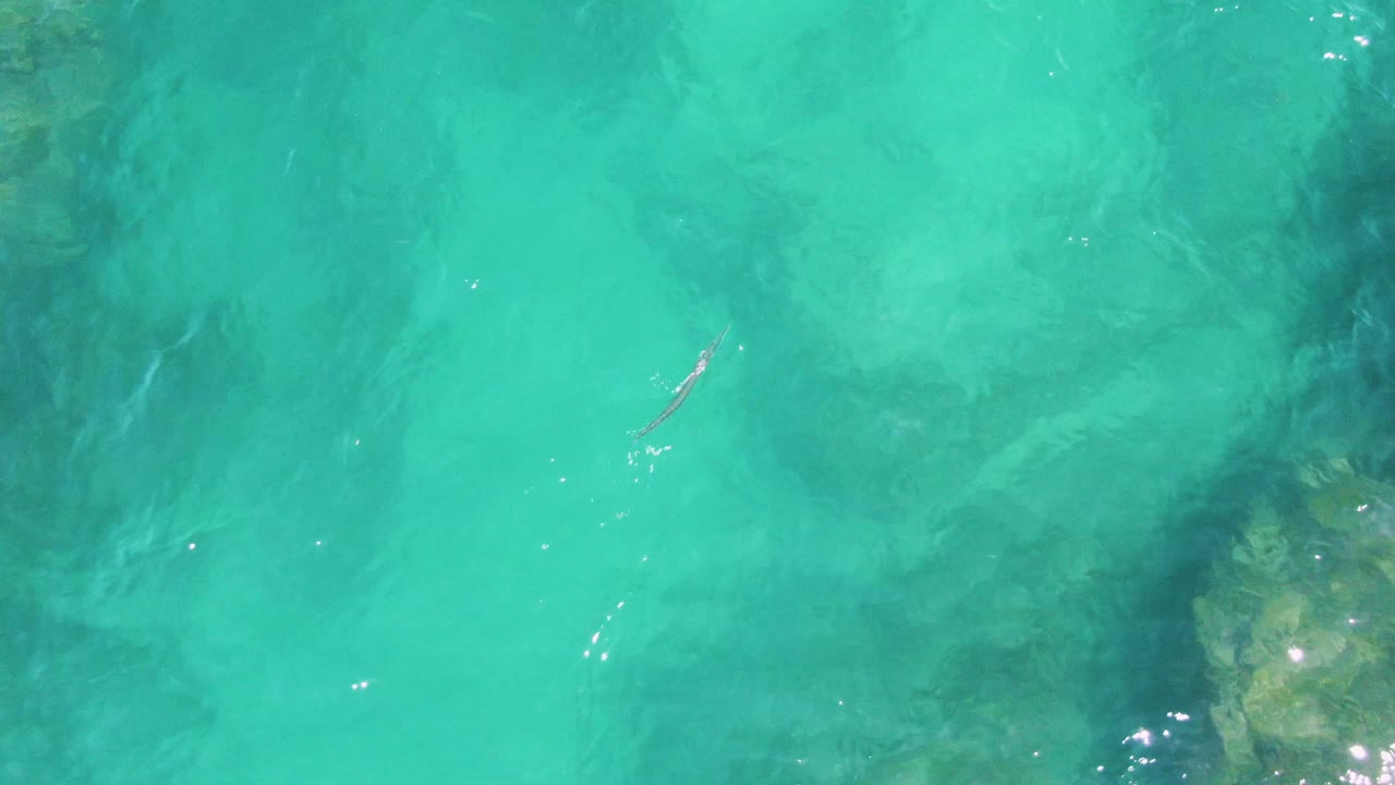 Overhead view of clear turquoise water at Buzzards Beach, Baja California Sur, with dark submerged seabed patches and no visible people.