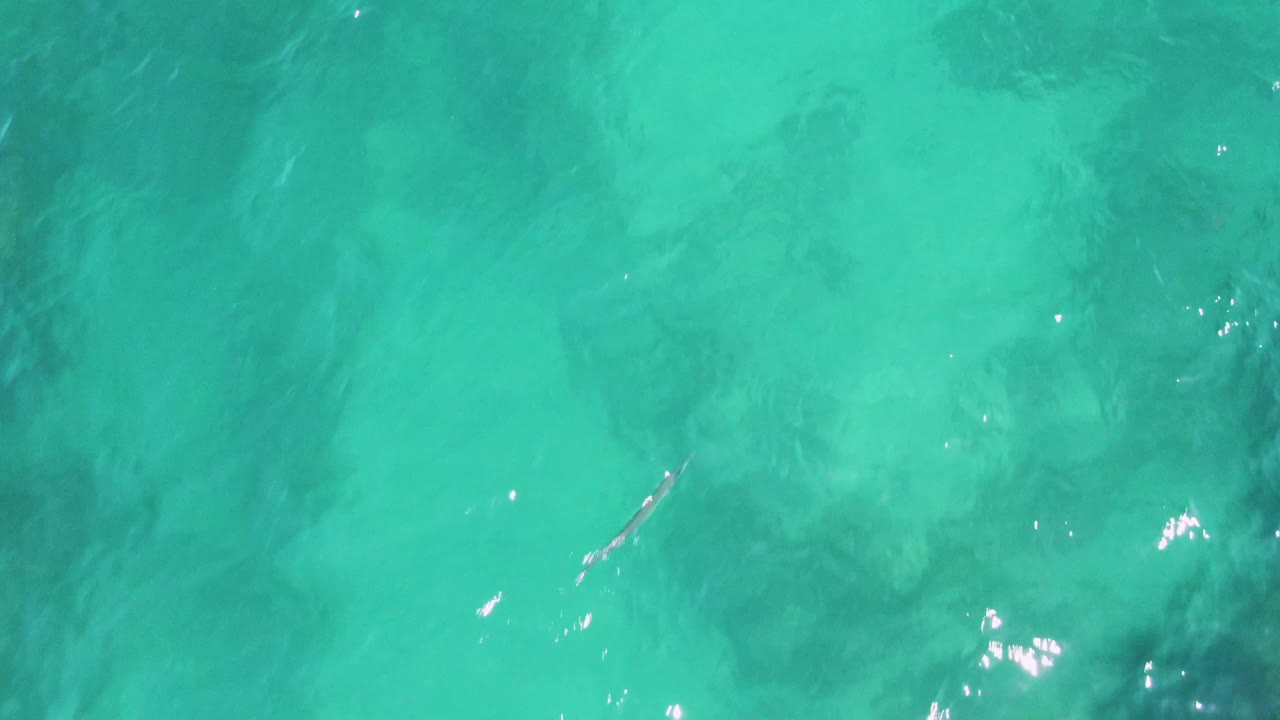 Overhead frame from Buzzards Beach showing turquoise water, a central dark submerged rock or seabed patch, and bright surface sparkle with no visible people.