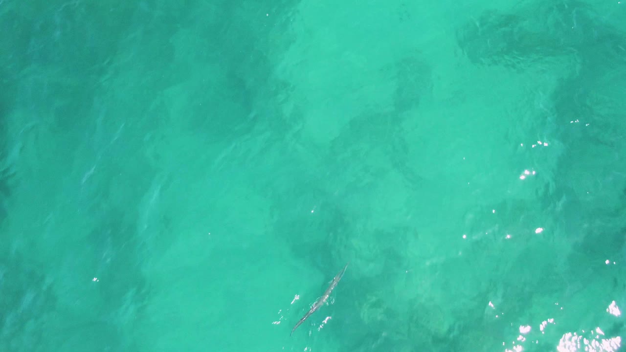 Buzzards Beach turquoise water fills the frame with faint darker shapes under the surface and softer light reflections, with no visible people.