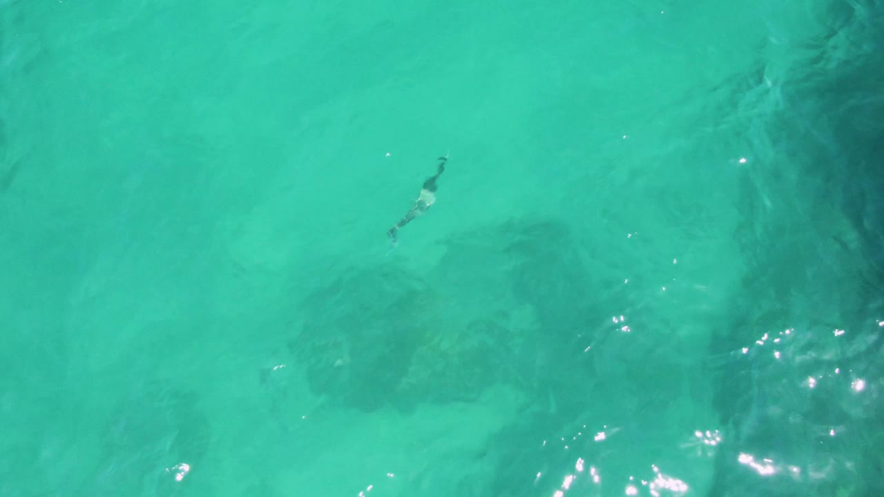 Aerial still from Buzzards Beach showing clear turquoise water, bright surface reflections, and broad darker shapes beneath the water, with no visible people.