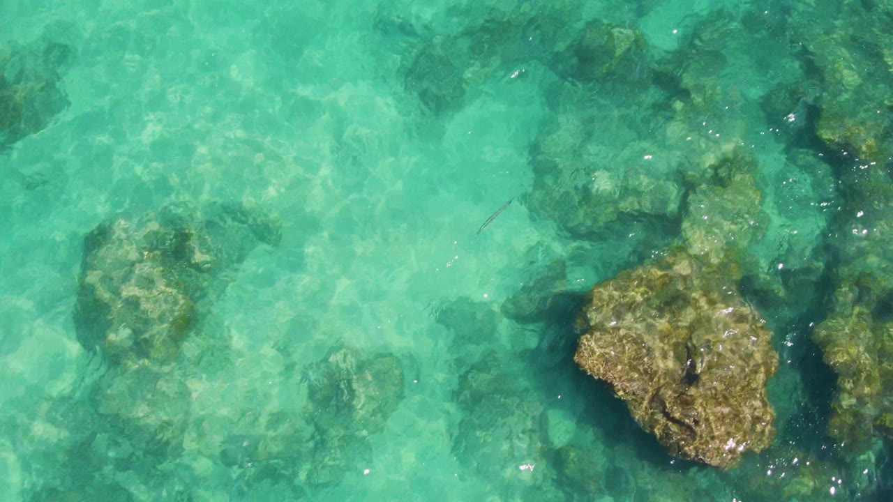 Clear turquoise water at Buzzards Beach, Baja California Sur, with submerged rocks, bright surface flecks, a small dark fish-like shape near the upper left, and no visible people.