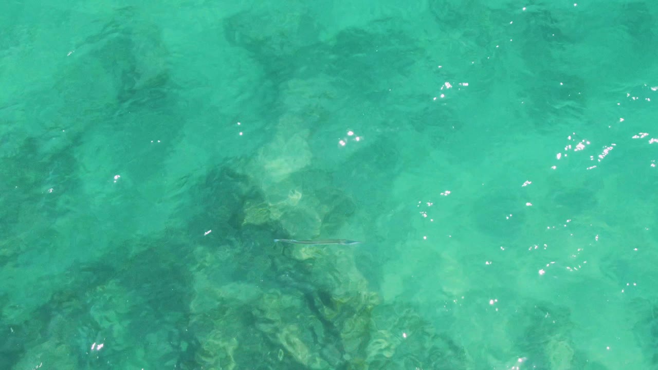 At Buzzards Beach in Baja California Sur, clear turquoise water fills the frame with submerged rocks and bright surface glints, while the small fish is subtle against the water and no people are visible.