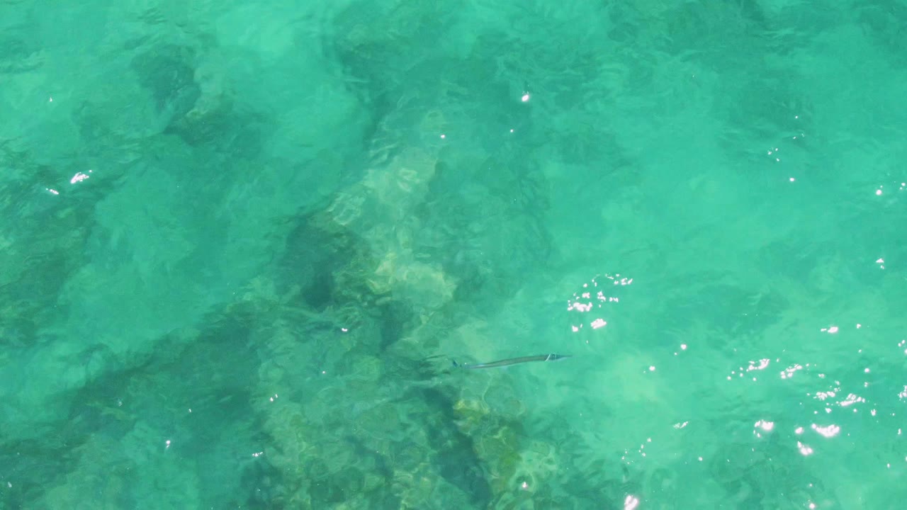 At Buzzards Beach in Baja California Sur, the small fish appears farther across the turquoise water above dark reef-like rock forms and scattered sunlight reflections, with no visible people.
