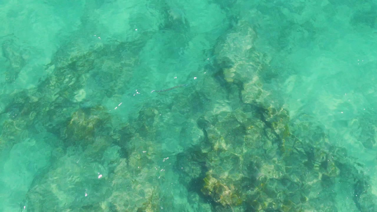 Clear turquoise shallows at Buzzards Beach reveal clustered underwater rocks, faint sandy patches, and small surface highlights with no visible people.