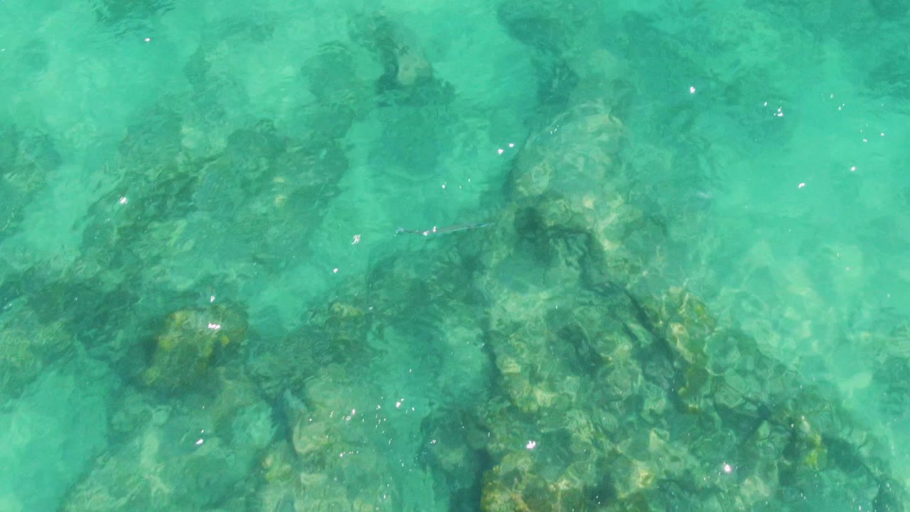 Bright turquoise water at Buzzards Beach shows darker rocky forms under the surface, with scattered sun glints and no visible people.