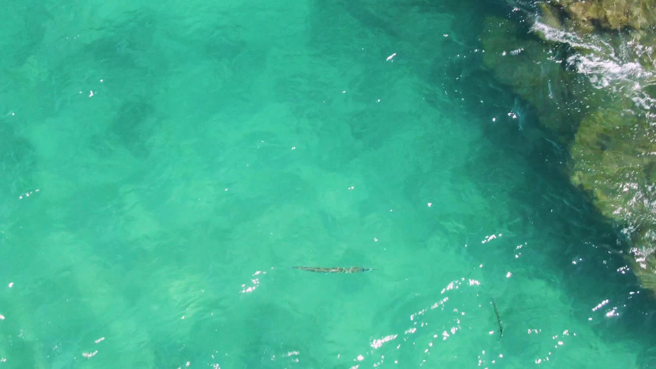 At Buzzards Beach, the sea snake sits farther right in the turquoise water while darker submerged rock shapes and small foam patches gather near the right side, with no visible people.