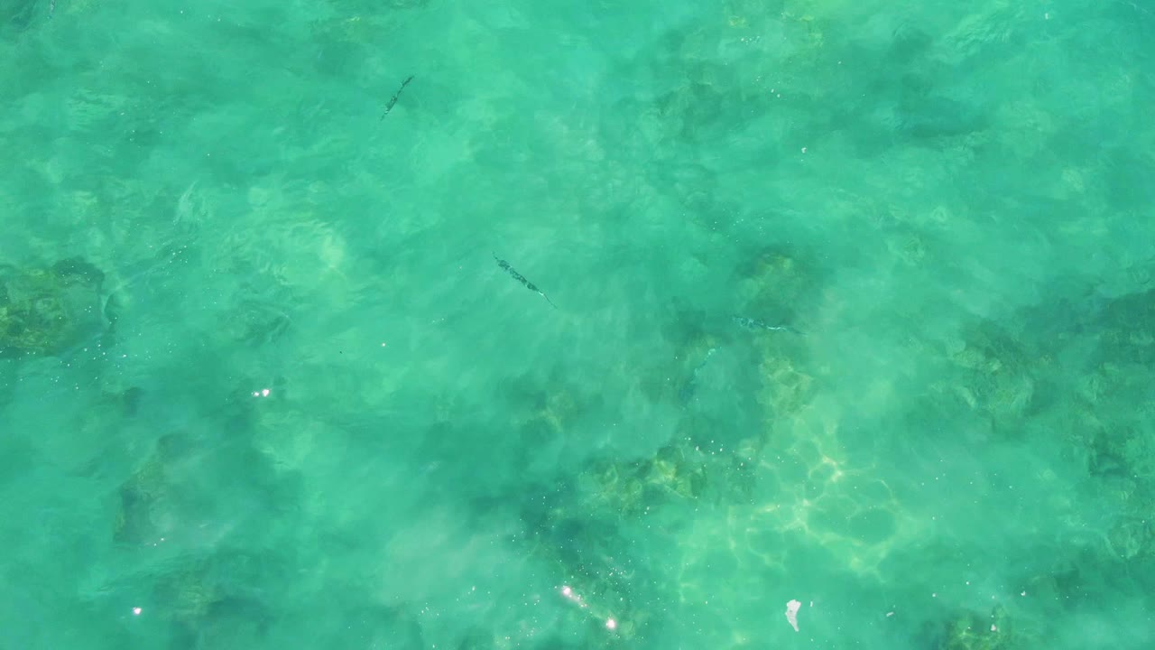 Overhead view of clear turquoise water at Buzzards Beach with dark submerged rocks, small fish shapes, sunlit ripples, and no visible people.