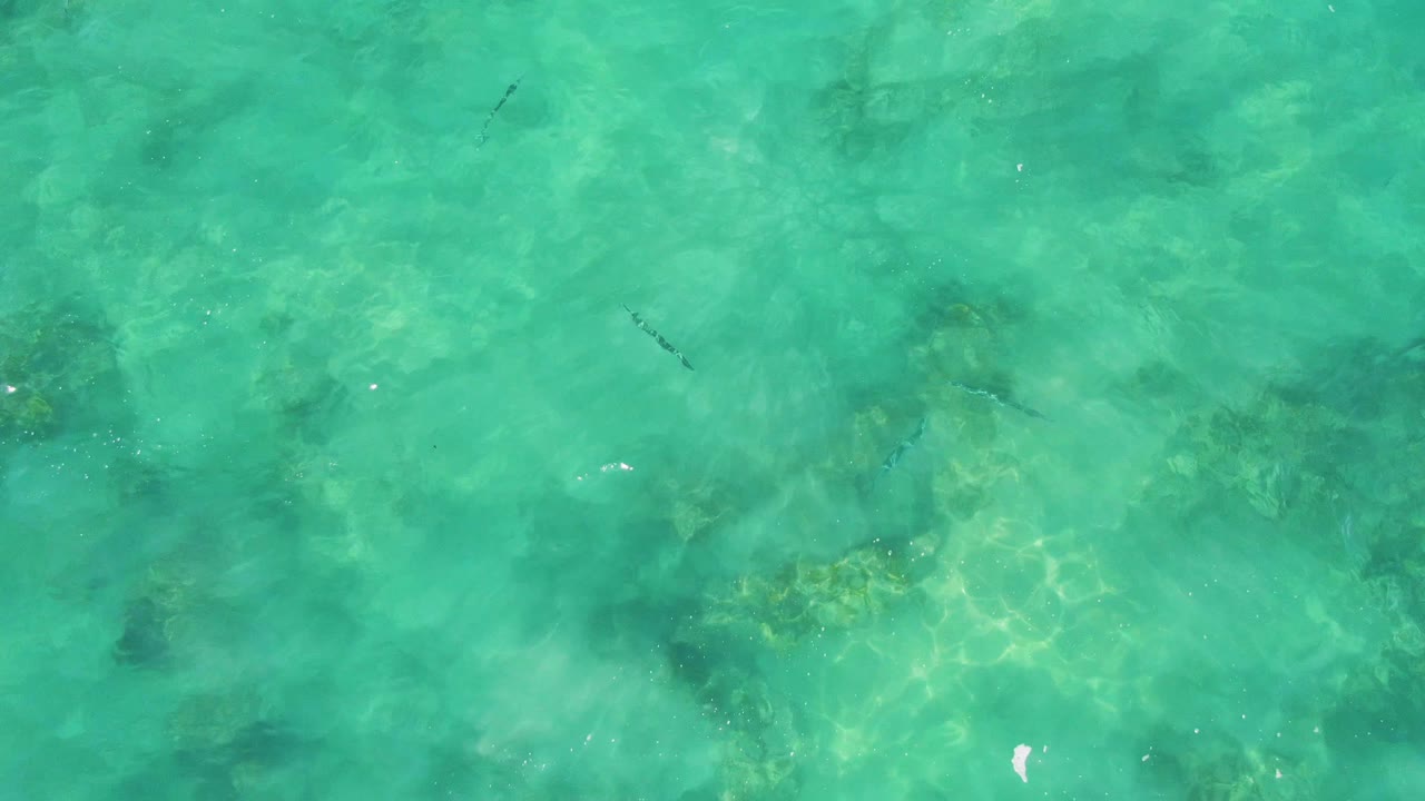 Clear green-blue water at Buzzards Beach shows small fish near the upper center, darker rock patches below the surface, and no visible people.