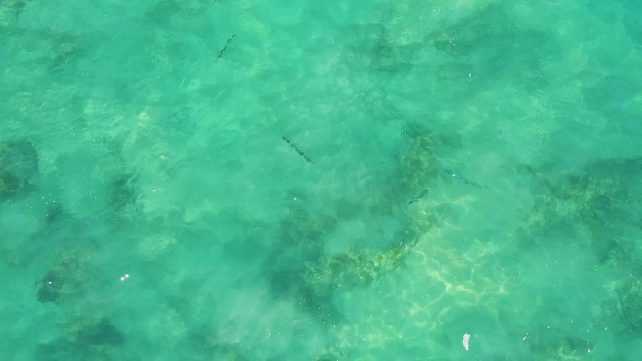 Overhead Buzzards Beach frame with transparent turquoise water, bright rippled sunlight, scattered submerged rock or coral patches, and no visible people.