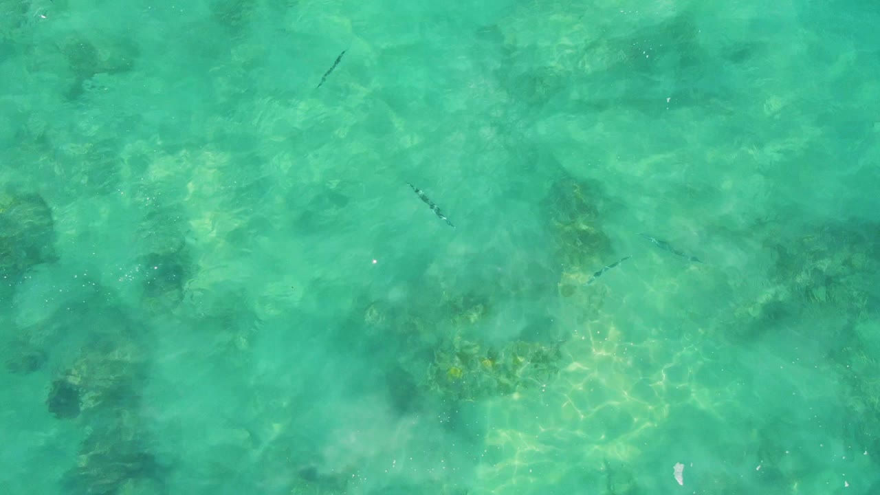 Shallow turquoise water with darker underwater rocks and fish silhouettes.