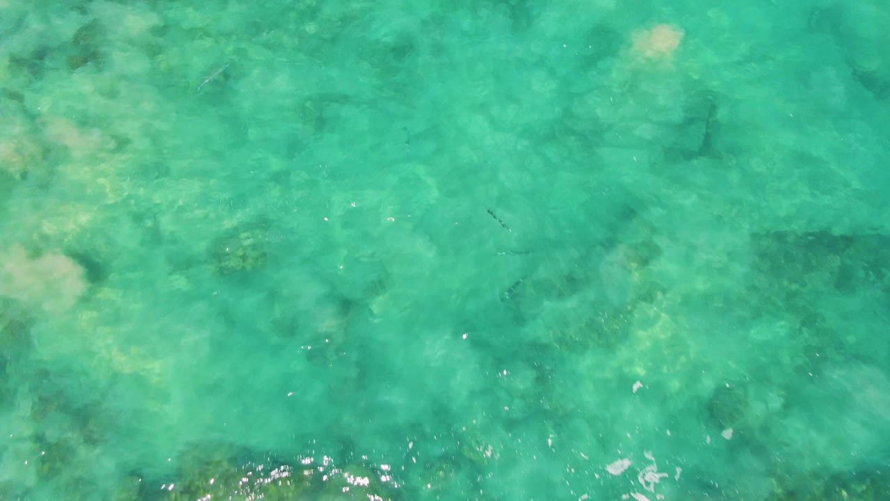 Aerial-style frame over Buzzards Beach water with green-blue shallows, mottled submerged rock or coral areas, bright surface glints, and no visible people.