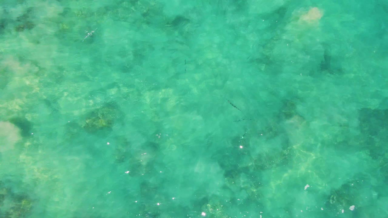 Buzzards Beach shallow water fills the frame with softer green-blue tones, faint seabed texture, scattered dark underwater marks, and no visible people.