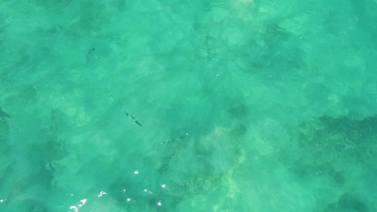 Overhead view of clear turquoise water at Buzzards Beach with faint small fish, darker seabed patches, sun flecks, and no visible people.