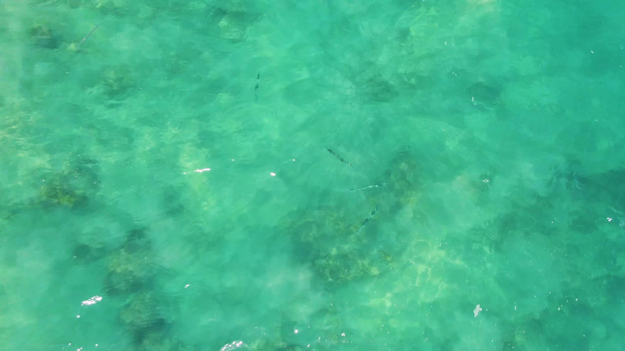 Turquoise shallow ocean water with small fish and submerged rock patches.