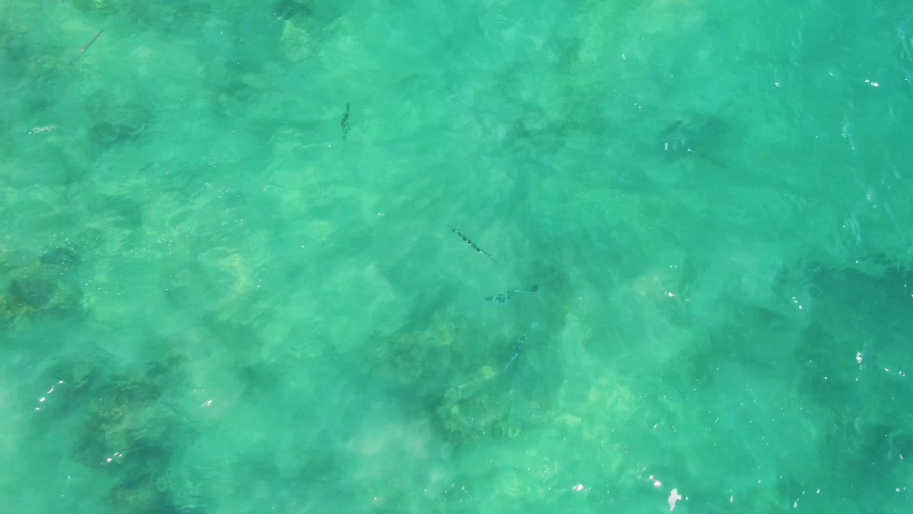 Overhead view of Buzzards Beach water one second in, showing scattered small fish, soft ripples, darker underwater rocks or coral, and no visible people.