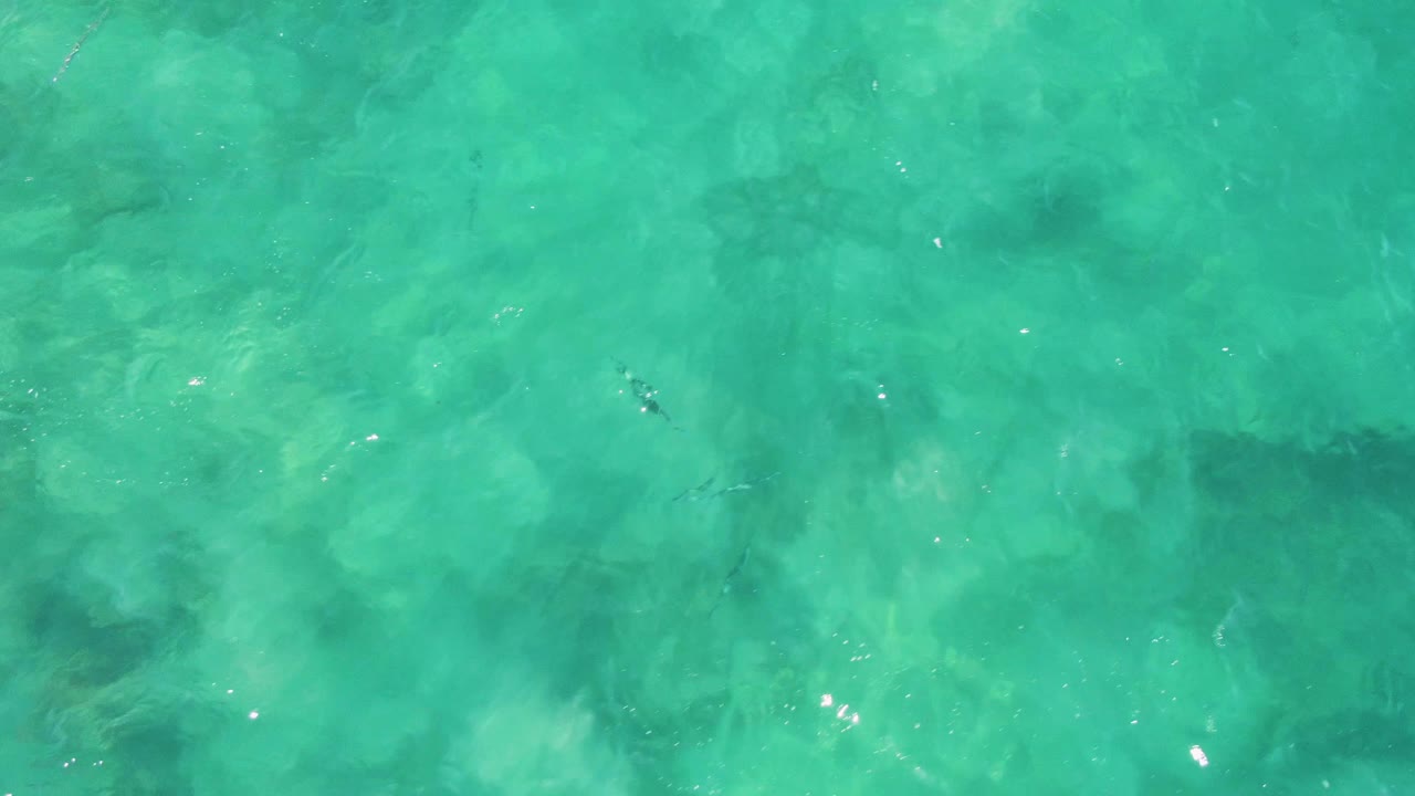 Mid-clip overhead frame from Buzzards Beach with translucent turquoise water, faint small fish shapes, uneven submerged rock or coral patches, and no visible people.