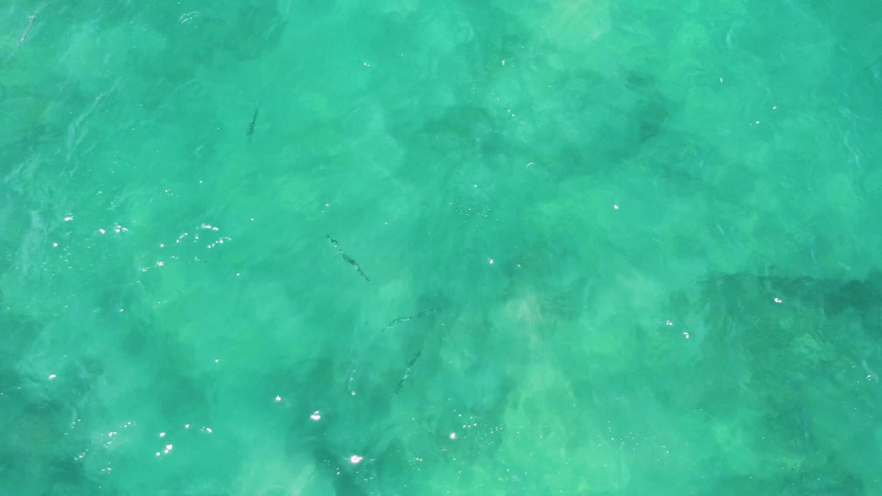 Overhead Buzzards Beach water at three seconds, with small fish silhouettes crossing turquoise shallows above darker underwater rock or coral areas and no visible people.