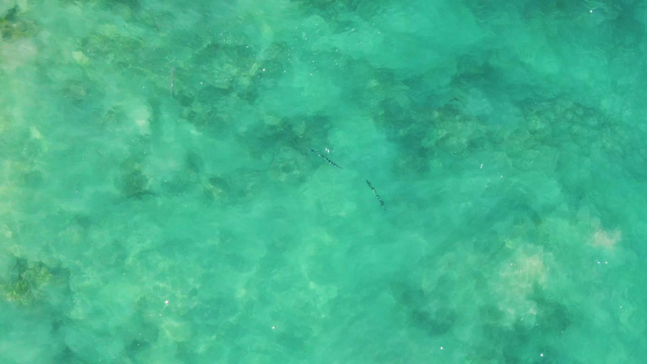 Turquoise shallow water at Buzzards Beach contains small fish near the upper middle, darker underwater patches, faint yellow-green areas, and no visible people.