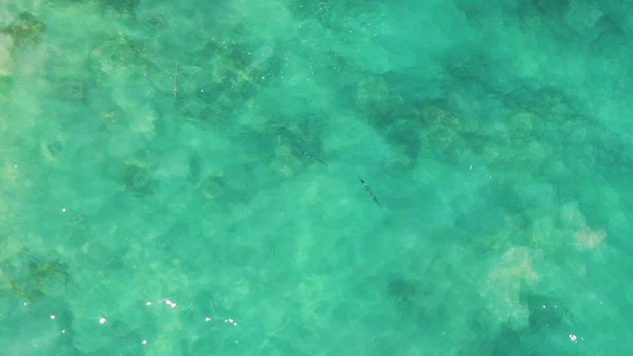 Aqua water surface with small fish over a mottled seabed.
