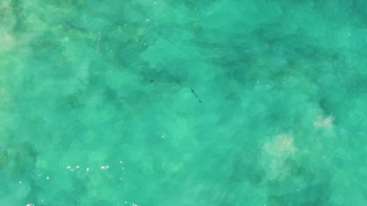 Top-down view of clear turquoise water at Buzzards Beach, Baja California Sur, with faint seabed texture, scattered surface glints, small dark fish shapes, and no visible people.