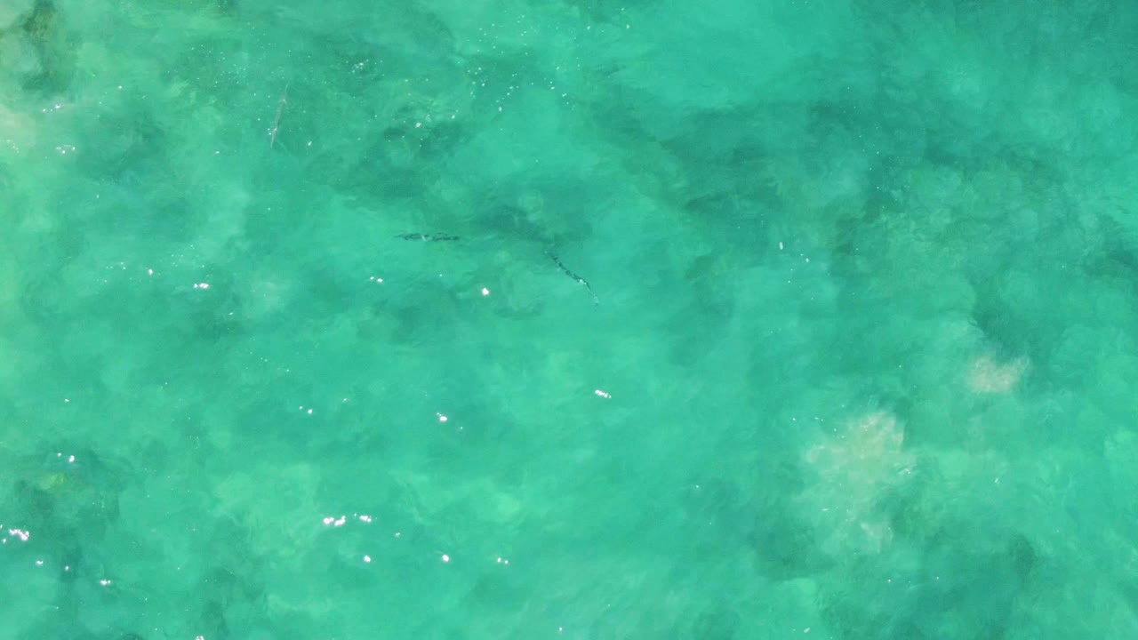 Clear shallow water at Buzzards Beach, Baja California Sur, shows pale seabed areas, tiny dark fish marks beneath the surface, light ripples, and no visible people.