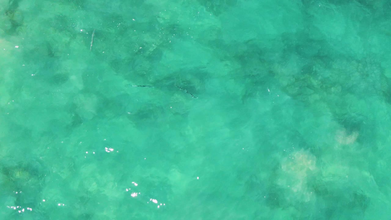 Overhead view of Buzzards Beach turquoise water with darker seabed patches, scattered bright reflections, subtle ripples, faint fish shapes, and no visible people.