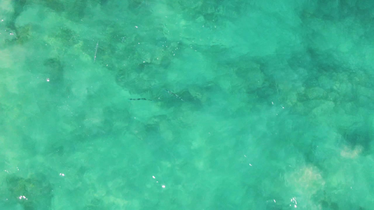 Clear blue-green water with soft seabed texture and a few dark fish shapes.