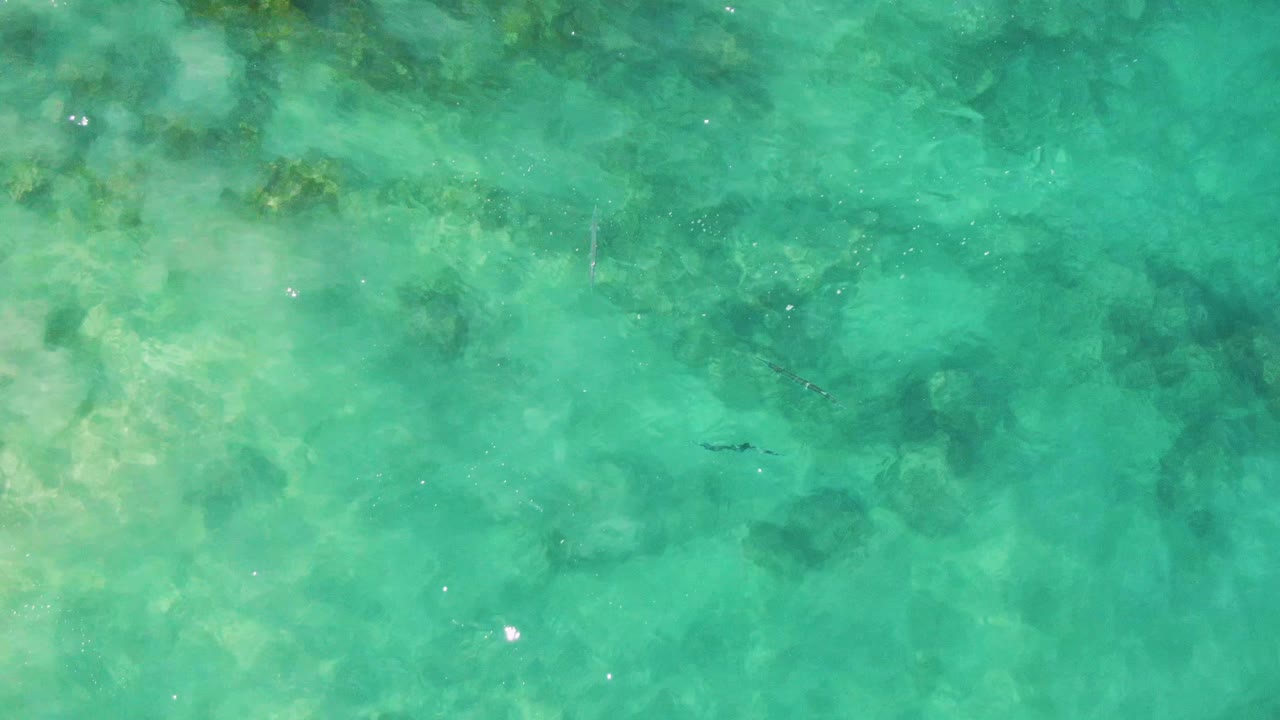 Turquoise shallow water over submerged rocks with small fish.
