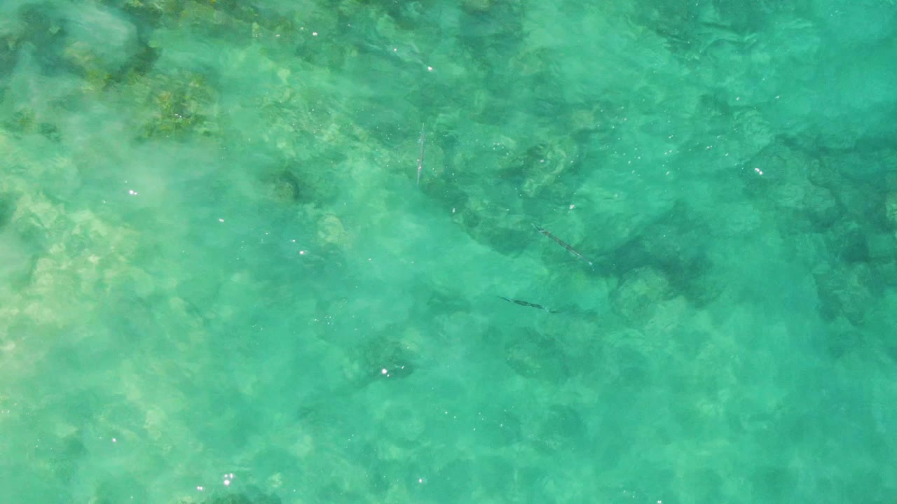 A top-down Buzzards Beach frame shows shallow turquoise sea over mottled rocks and coral, with a small dark fish visible and no people in frame.