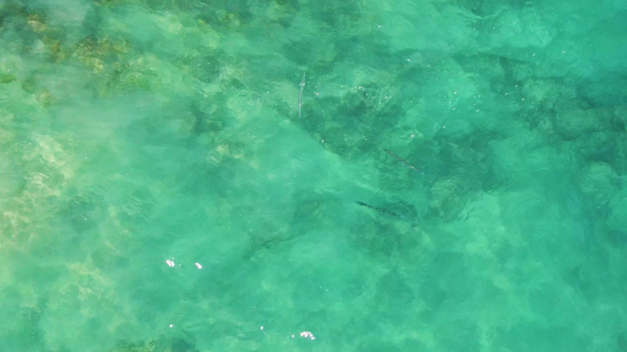 Turquoise Buzzards Beach water fills the frame, with submerged rocks, a small fish lower in the composition, bright surface glints, and no visible people.