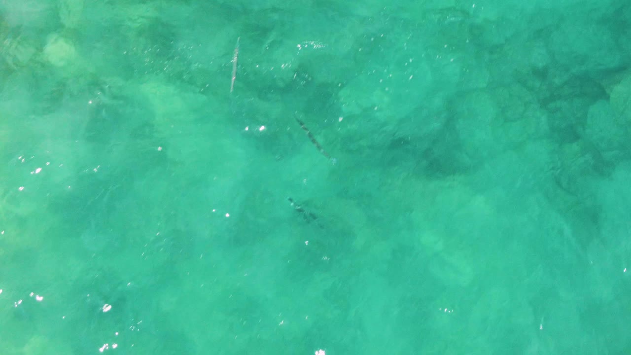Clear turquoise water with fish over rocky seabed