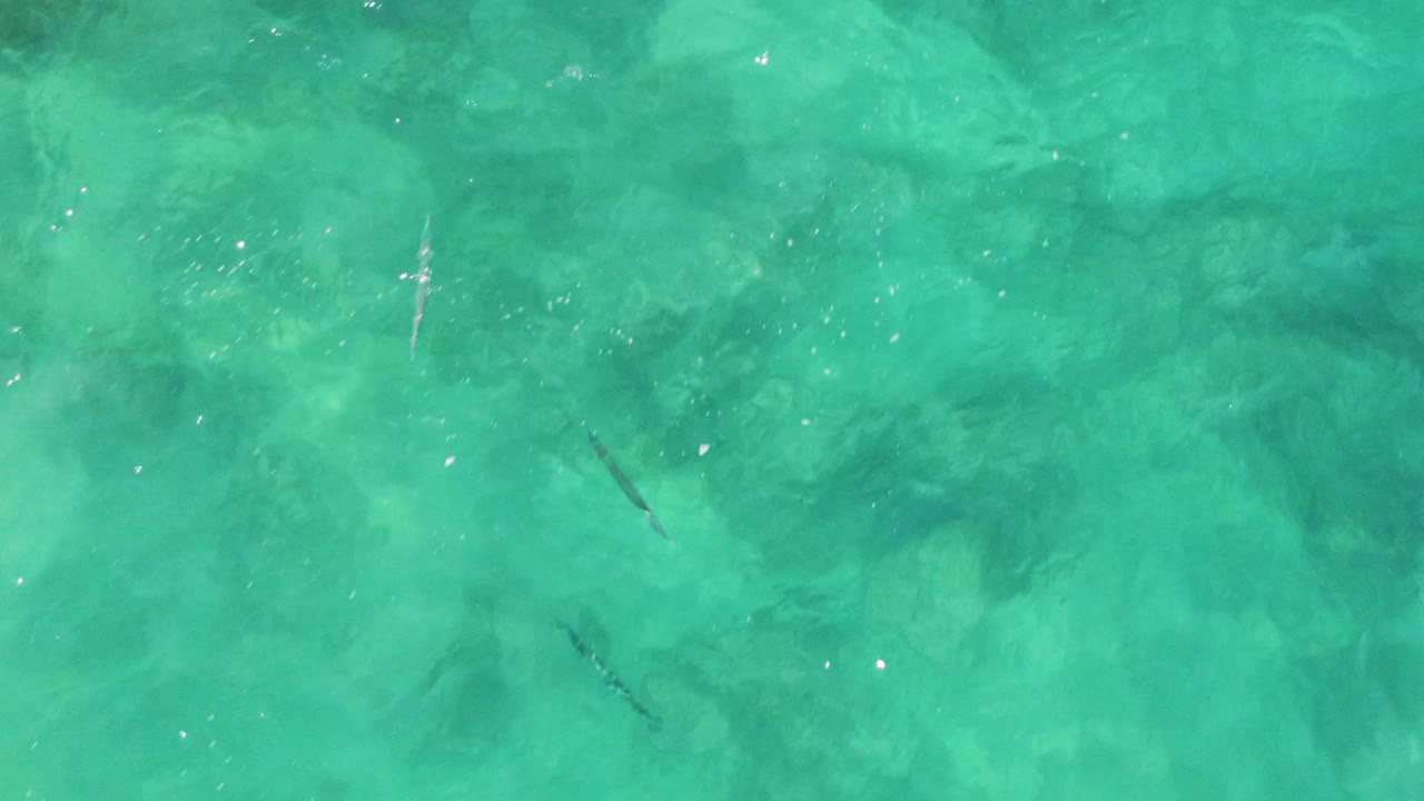 Top-down frame from Buzzards Beach, Baja California Sur, showing pale seabed under turquoise water, soft wave texture, small bright reflections, thin fish forms, and no visible people.