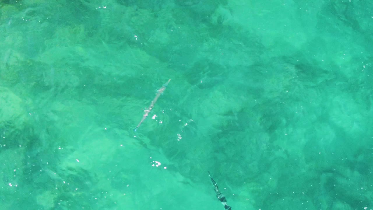 Small fish cross clear turquoise water over pale sand and darker submerged rocks at Buzzards Beach, Mexico, with no visible people.