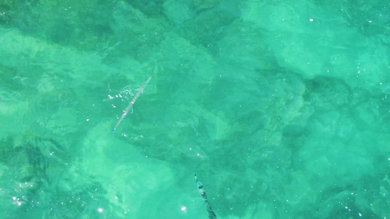 Several small fish shapes are visible beneath clear turquoise water at Buzzards Beach, Mexico, with faint rock patches and no visible people.